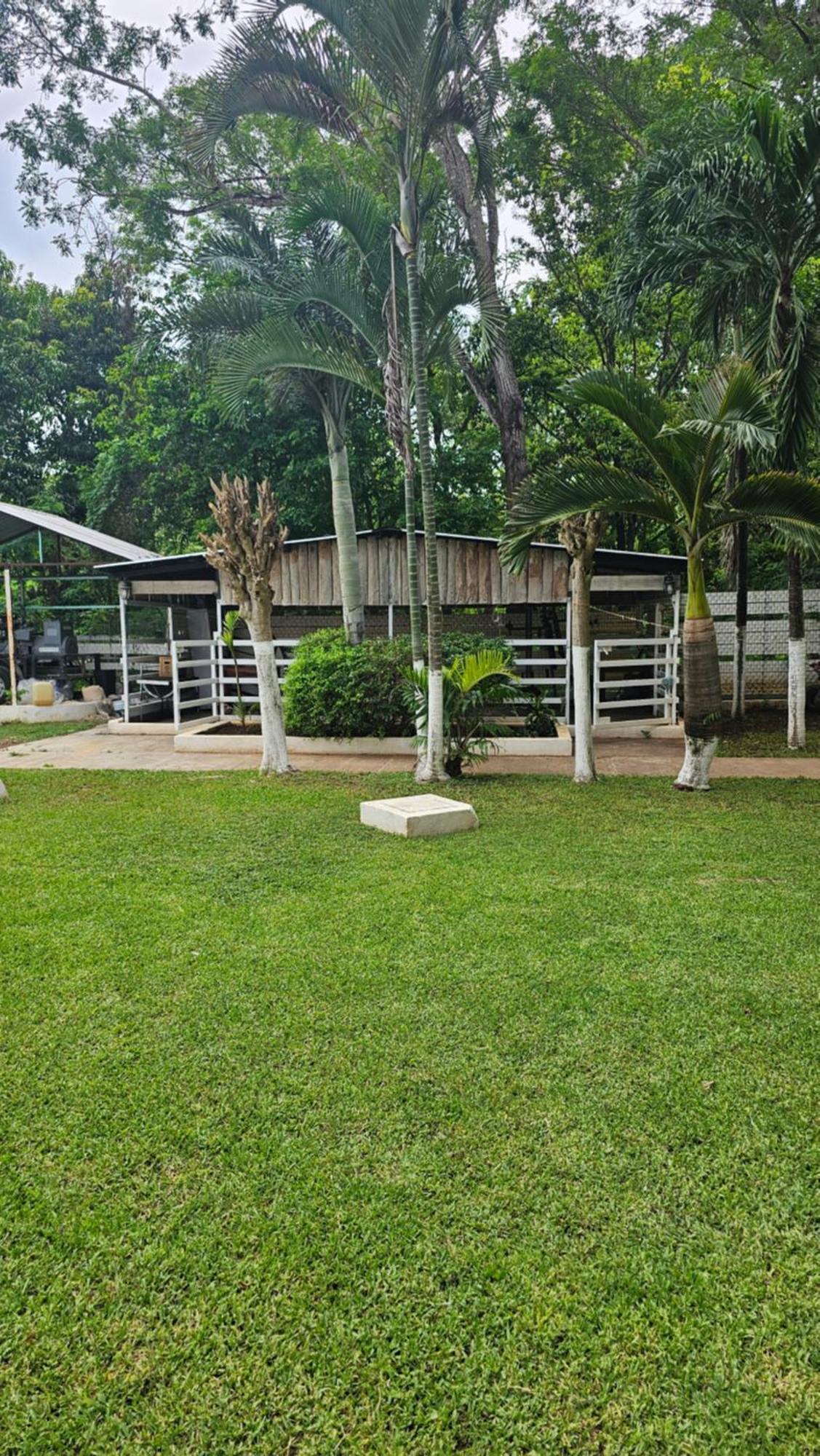 Los Cedros Uayamon Exterior photo